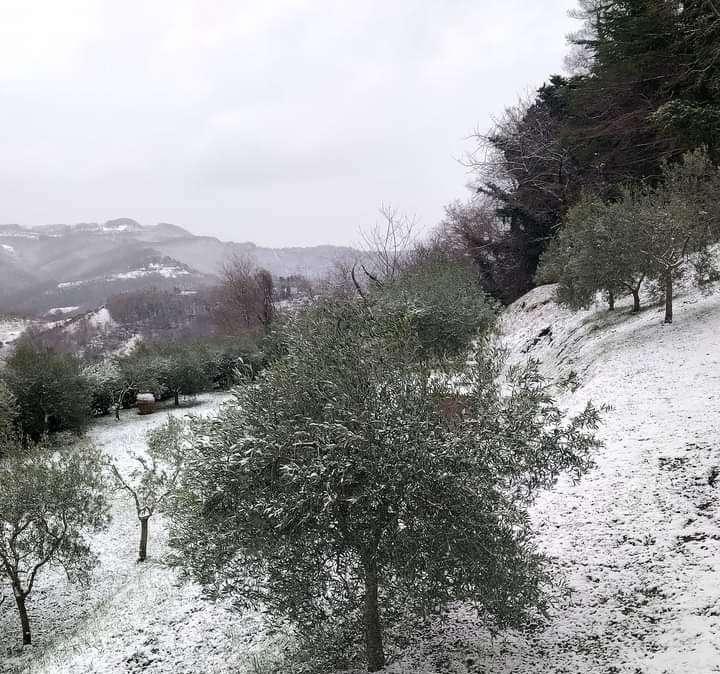 Neve in Umbria e lunedì ci sarà un nuovo peggioramento 