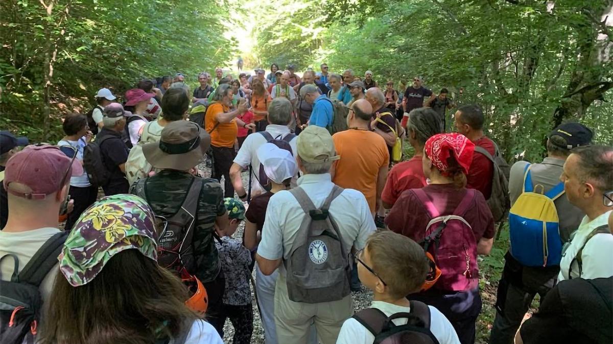 La filiera del legno, ovvero il bosco come risorsa sostenibile: a Scheggia la presentazione del progetto