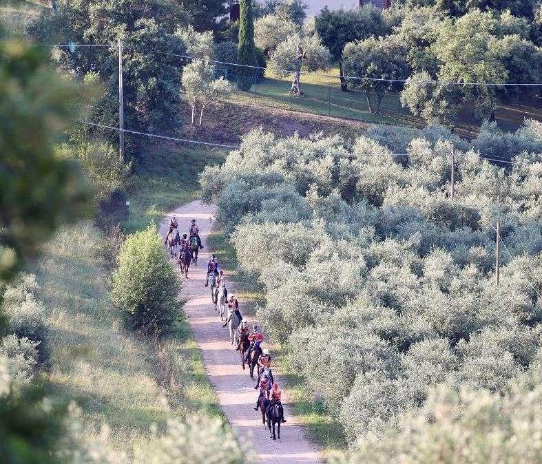 Dai campionati italiani di endurance equestre un grande impulso per il turismo sportivo al Trasimeno