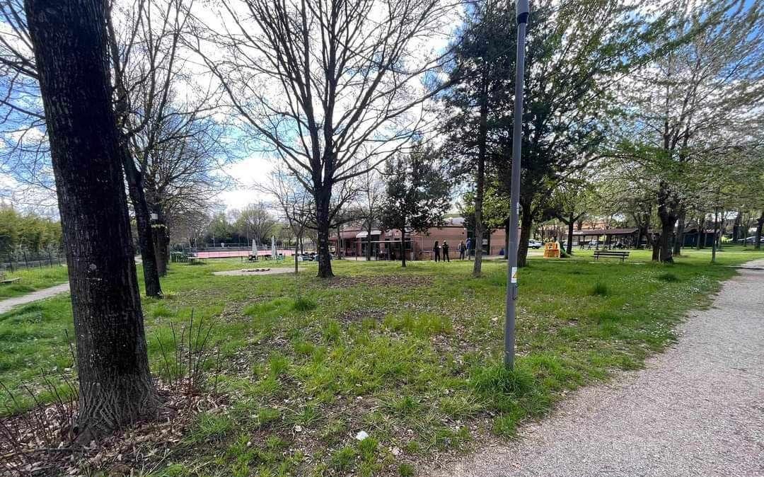 E' giusto che i cittadini di Balanzano debbano rinunciare al loro parco per un nuovo palasport?