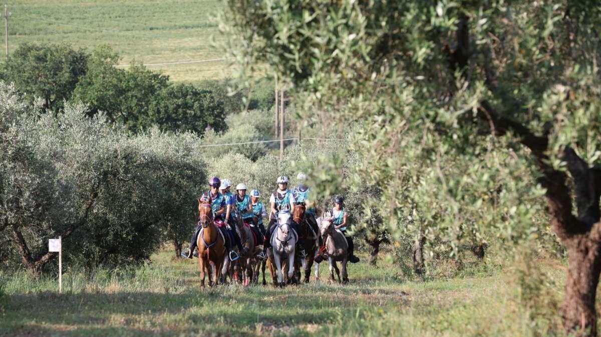 Dal 29 al 31 agosto torna l'endurance equestre a Castiglione del Lago
