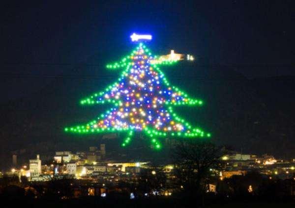I 10 alberi più impressionanti del mondo: c'è quello di Gubbio! Non c'è traccia di quello di Castiglione del Lago