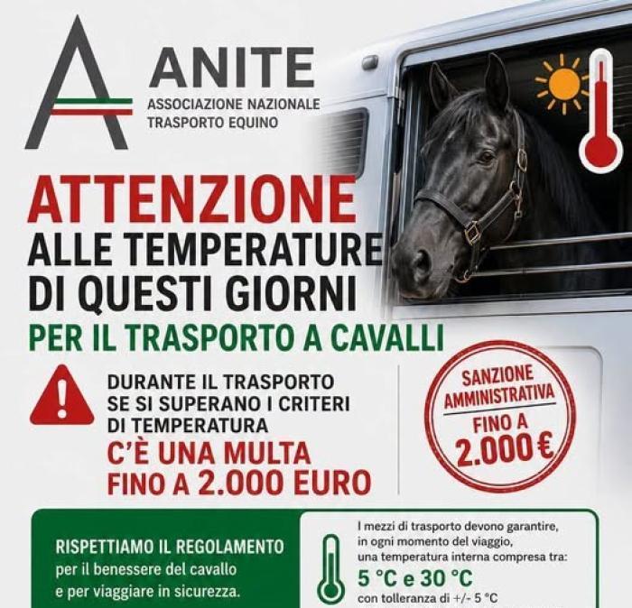 Catia Brozzi lancia l'appello! "Con questo caldo che vi sia la attenzione durante il trasporto dei cavalli!"