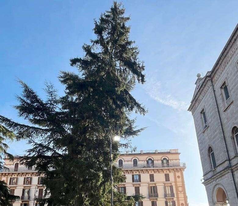 Momento suggestivo e doloroso per Perugia: verrà abbattuto lo storico abete in Piazza Italia