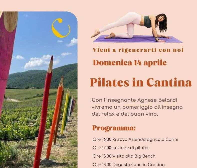 Si pensa già all'estate e domenica con Agnese Belardi ecco la novità del pilates in vigna!