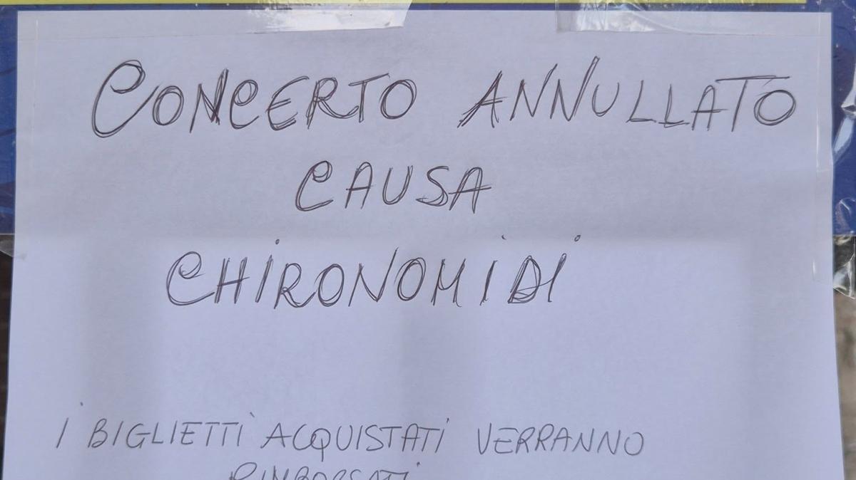 Clamoroso al Trasimeno! Bobby Solo non canta per i troppi moscerini! Concerto annullato e disperazione generale!