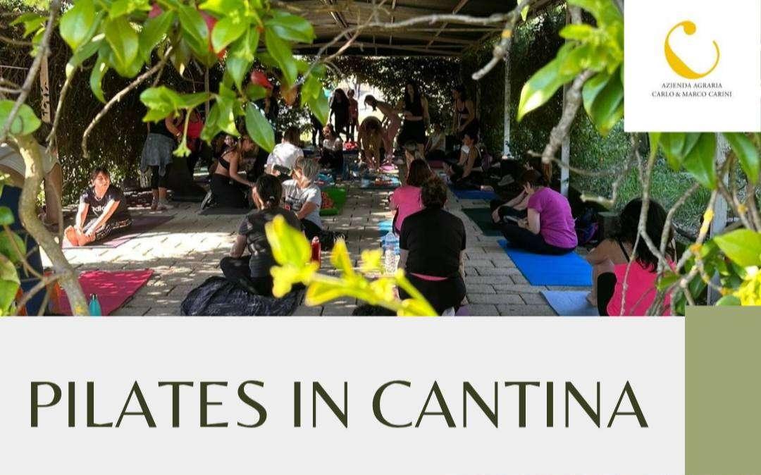 Una domenica alla Cantina Carini di Colle Umbero con la lezione di pilates di Agnese Belardi: si inizia alle 16.15