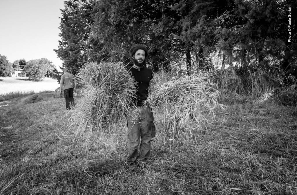 Tessere campi, il giornalismo incontra l’agricoltura indipendente: sabato 10 ottobre alle 17.30 IrpiMedia e Facta.eu dall'azienda Janas a Porano