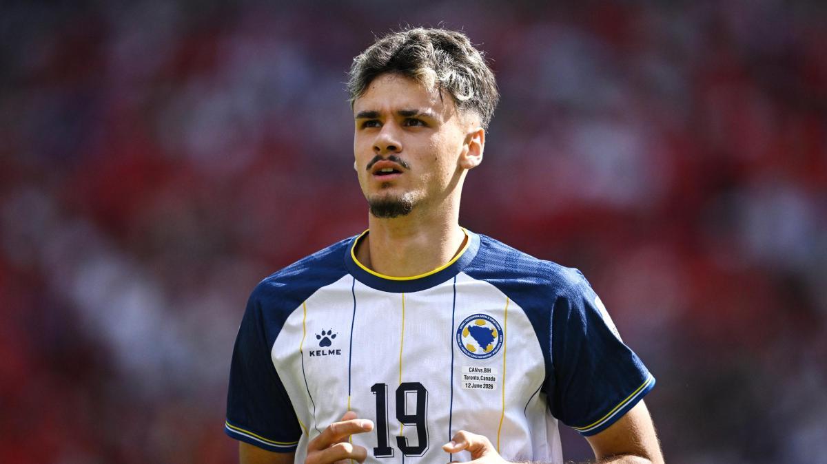 Kerim Alajbegovic