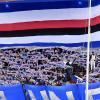Immagine news News Doria n.1