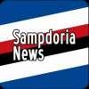 Immagine news News Doria n.1