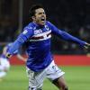 Immagine news News Doria n.1