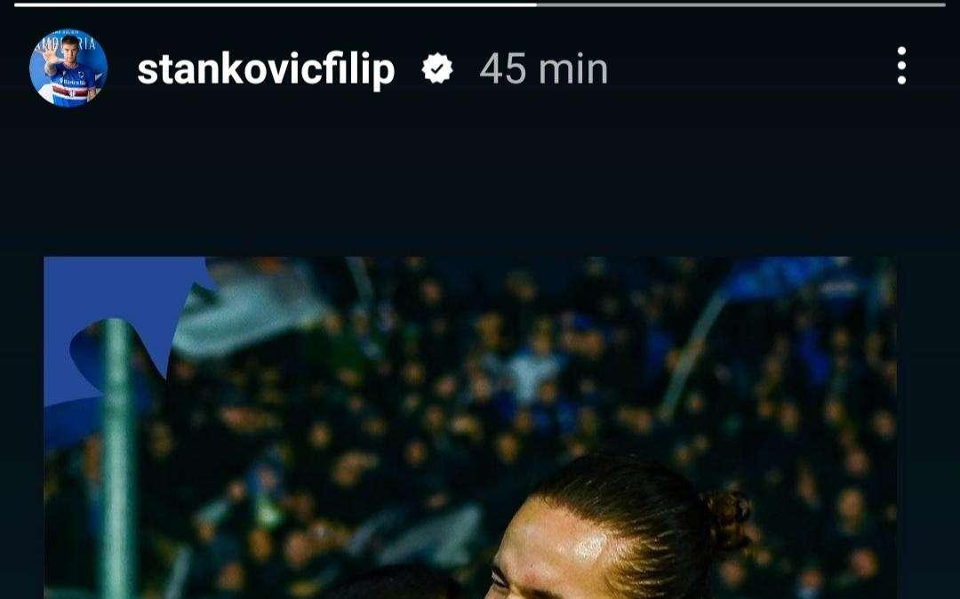 Cittadella - Sampdoria, il commento di Stankovic: "Andiamo" 