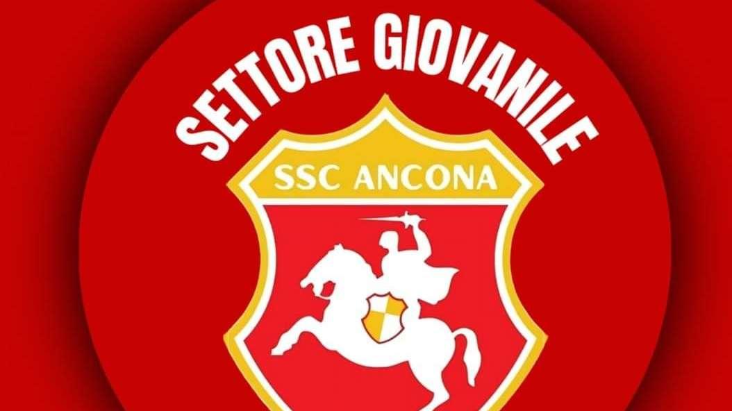 Academy Sampdoria, raduno per classe 2011 e 2012 dall'Ancona Settore Giovanile