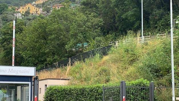 Sampdoria, Ferragosto di esercitazioni tattiche. Domani ancora mattutino