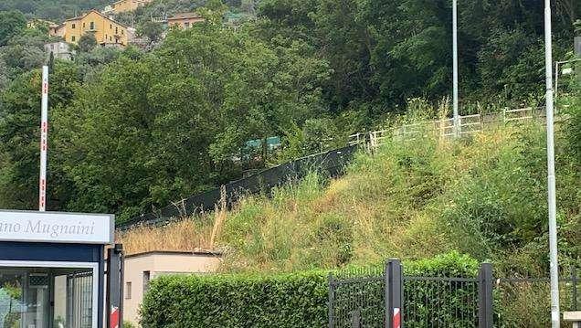 Sampdoria, rientrato Bereszynski. Specifico per Cragno e Niang