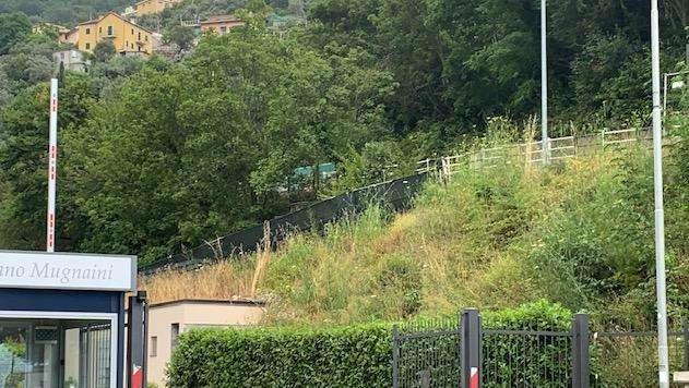 Sampdoria, terapie per Altare. Domani seduta mattutina