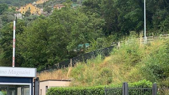 Michieli: "Sampdoria, una perizia asseverata può portare alla vendita senza rischio revocatoria"