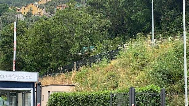 Sampdoria, scarico per Vieira. Ripresa lunedì pomeriggio
