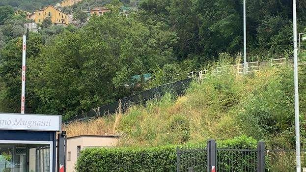 Sampdoria, prosegue preparazione derby. Ancora individuale per Giovinco