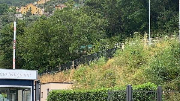 Sampdoria, partitella in famiglia a Bogliasco. Ioannou a riposo precauzionale
