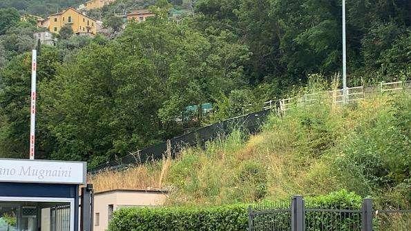 Personalizzato per Vieira e Torregrossa, Gabbiadini sottoposto a terapie