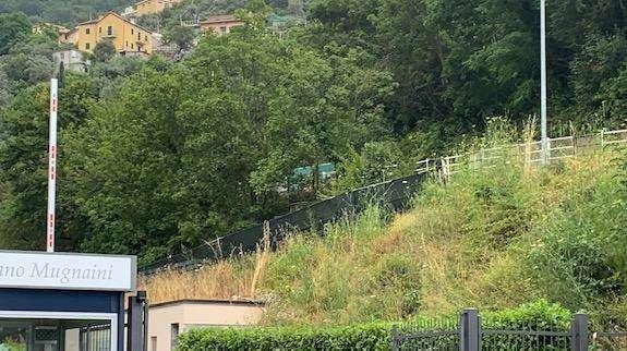Sampdoria, piccola lesione adduttore coscia per Sensi. Domattina rifinitura