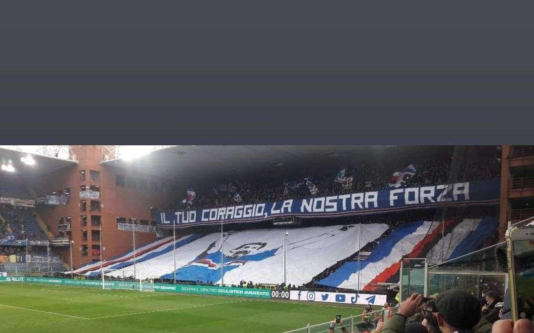 Tifosi Sampdoria, Nicolini: "E poi c'è chi non perde mai"