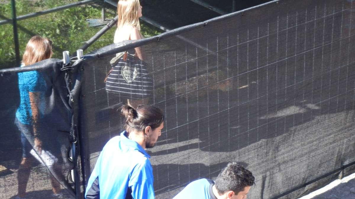 BARDONECCHIA LIVE - Terminato lavoro in palestra, tutti in campo!