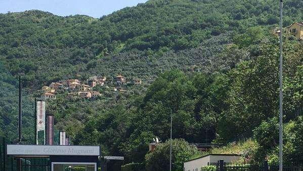 Allenamento mattutino per la Sampdoria, solo Conti e De Luca a parte