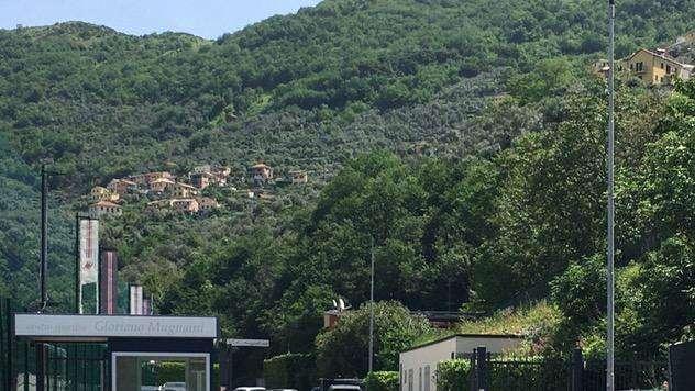 Seduta di scarico in vista dell'Inter. Domani mattutino 