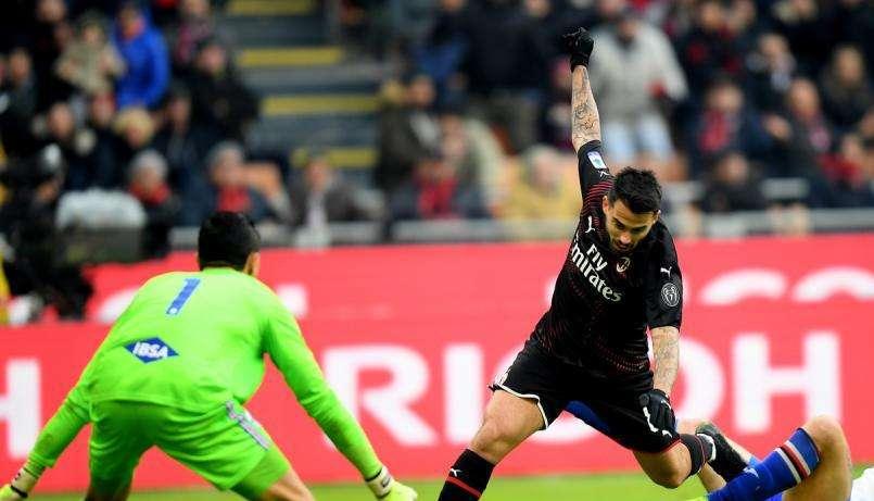 CON IL CUORE FINO ALLA VITTORIA - La struttura alare del calabrone