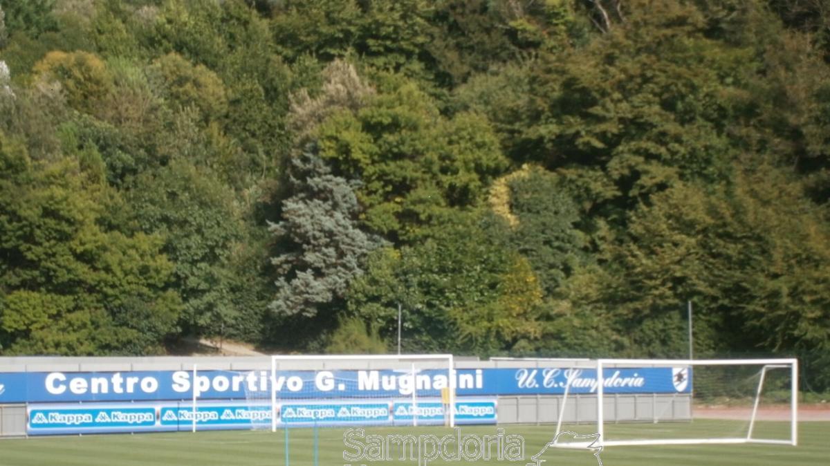 Sampdoria, domenica pomeriggio la ripresa in vista del Palermo