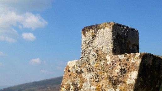 Scomparsa del Professor Odaglia, il cordoglio blucerchiato
