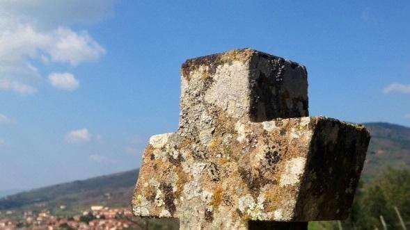Morte di Marco Sabattini, il cordoglio blucerchiato