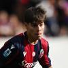 Dominguez Sassuolo, accordo con il Bologna: le cifre dell'affare