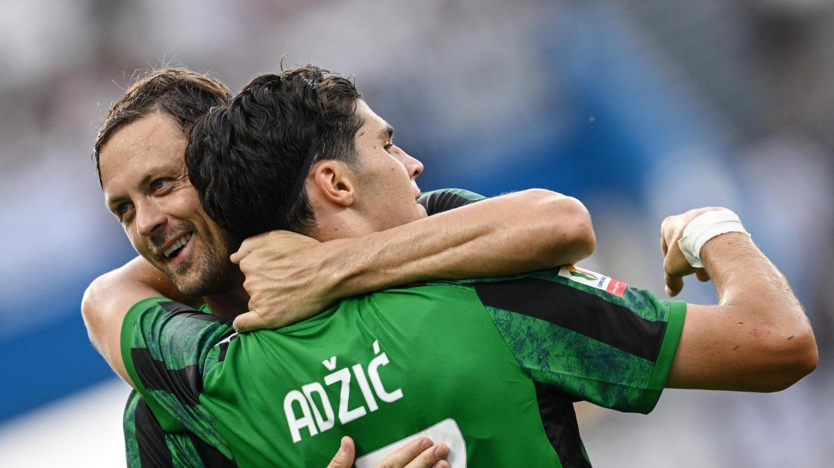 Sassuolo Torino highlights: i gol della partita - VIDEO