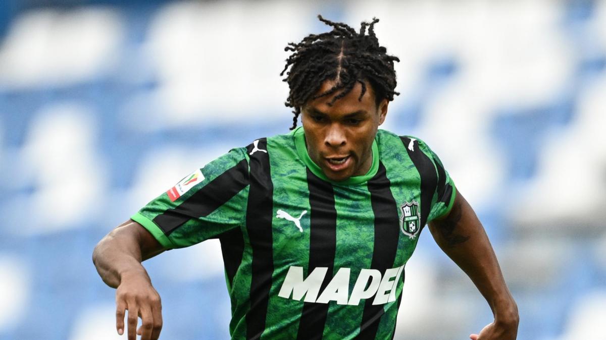 Sassuolo-Torino probabili formazioni e dove vederla OGGI in tv e streaming