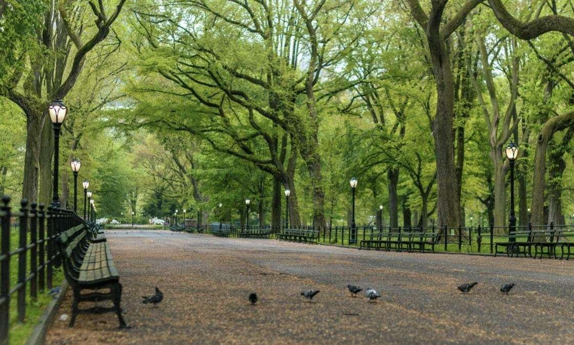 Rilassarsi in città: quali sono i trend che più stanno prendendo piede?