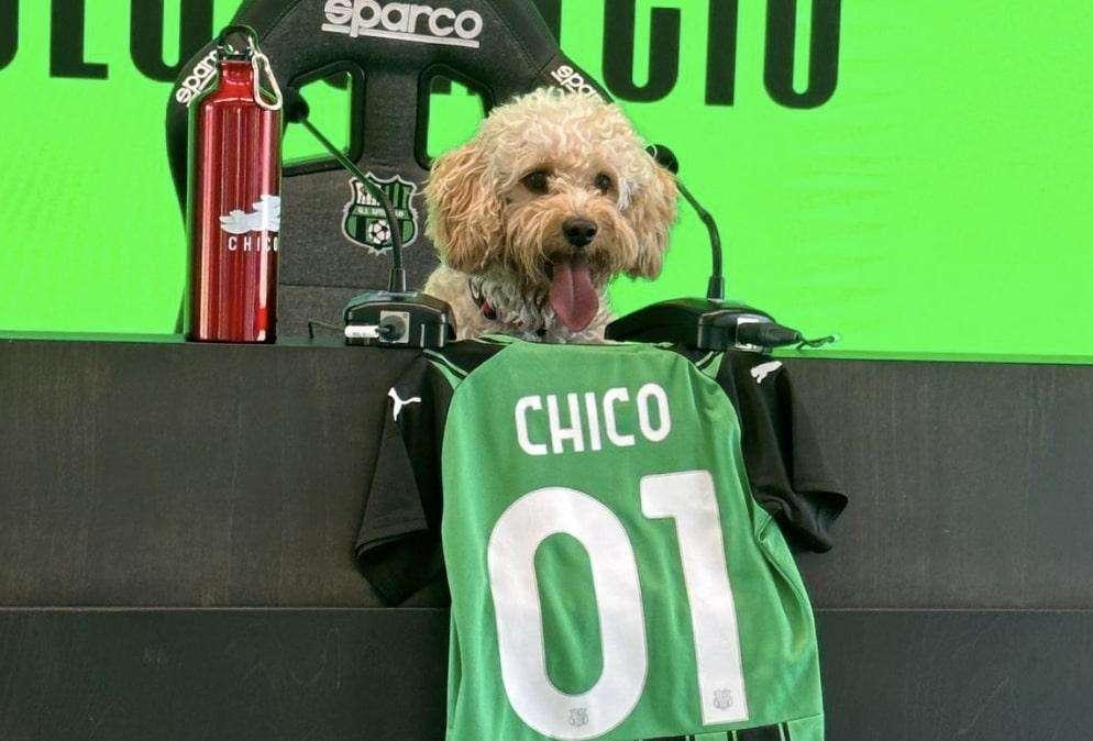 Calciomercato Sassuolo: ingaggiato l’attacCane Chico