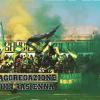 Enna, ricorso accolto: il club è ufficialmente ammesso in Serie D