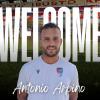 Aurora Pro Patria, ufficiale l'arrivo di Antonio Arpino
