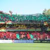 Ternana-show al Liberati: 4-1 al Montevarchi e seconda vittoria consecutiva in casa