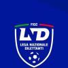 Serie D, oggi è il giorno dei ripescaggi: tutti gli ultimi aggiornamenti