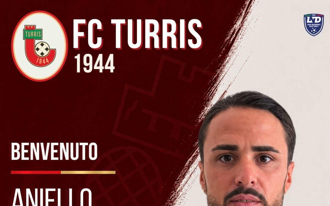 Credit: Turris