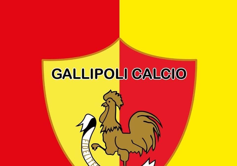 Gallipoli, Manca: "Gravi mancanze di rispetto, la trattativa per la cessione finisce qui"