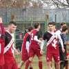 Fortis Arezzo senza freni: mercato da urlo per la Prima Squadra e rivoluzione Under 18