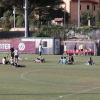 Arezzo, sfoltimento di lusso: mezza Serie C si muove per i big amaranto