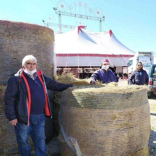 La Chianina dona dieci rotoballe al circo Rolando Orfei