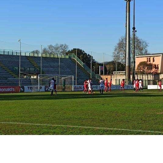 Christmas Cup 2019, vince lo Scandicci: 2-1 in finale con l'Arezzo